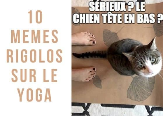 10 memes rigolos sur le yoga