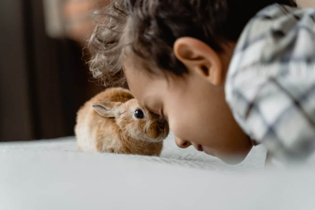 Comment faire du yoga avec son animal de compagnie ?