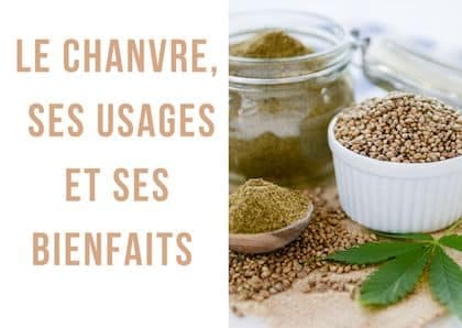 Le chanvre, plante merveilleuse aux multiples usages !