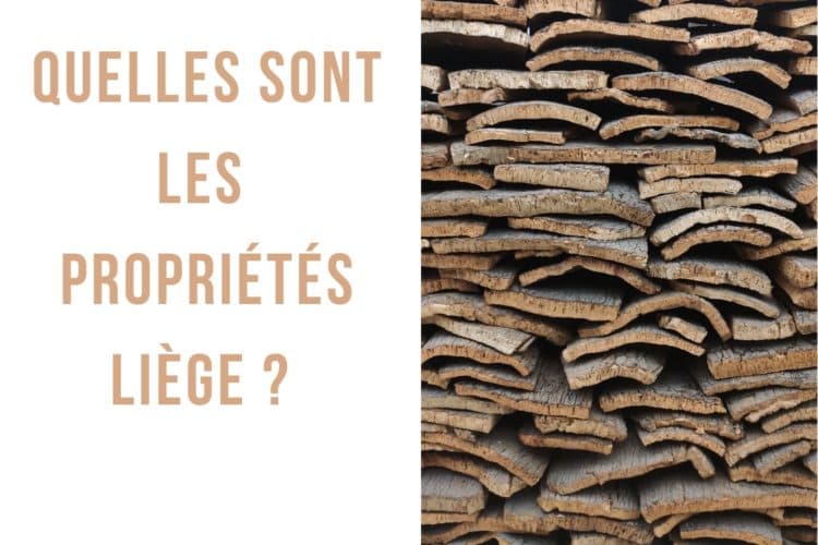 Tapis de yoga, bouchon, construction… Quelles sont les propriétés liège ?