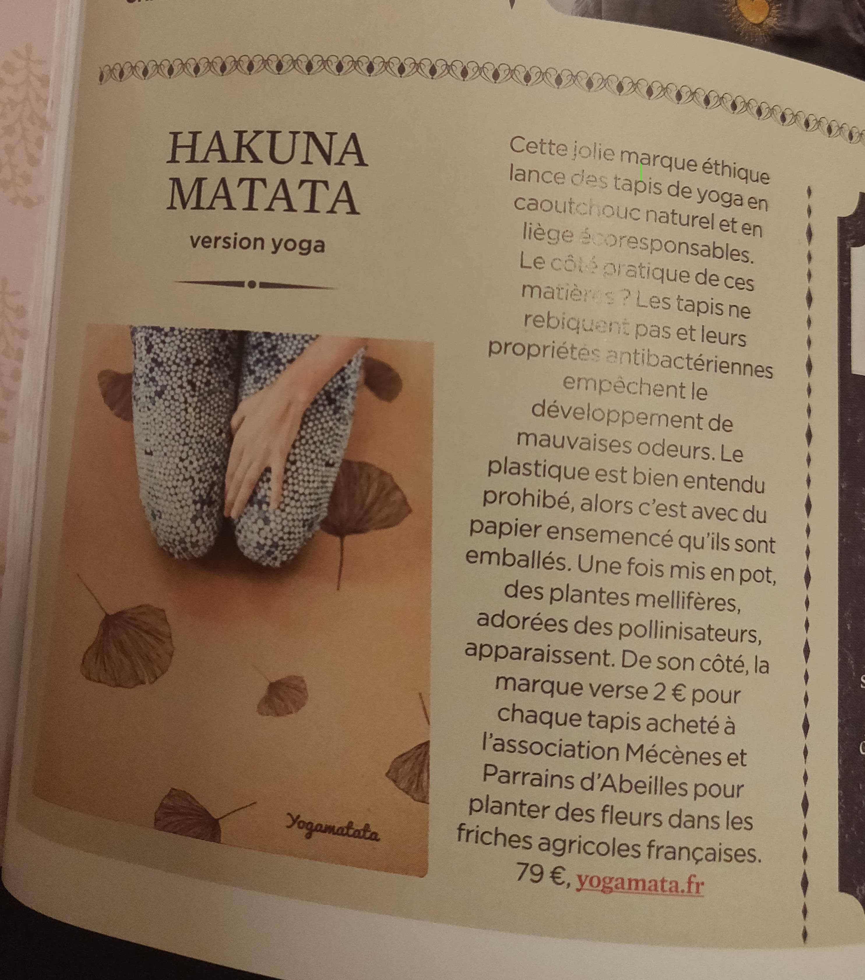 Parution visuelle autour de Yogamatata