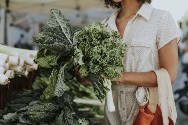 les conseils d'alimentation pour les yogis